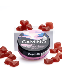 Camino Delta 9 THC Chill Gummies – Wild Berry