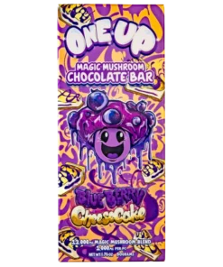 Blueberry Cheesecake Mushroom Chocolate Bar