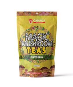 Mushrooms Shroom Tea | 1000MG | Ginger Lemon