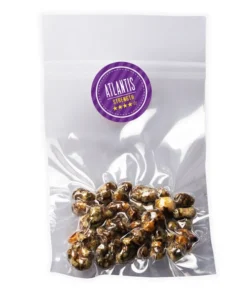 MAGIC TRUFFLES ATLANTIS